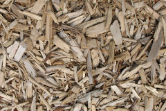 biomass boilers Halgabron